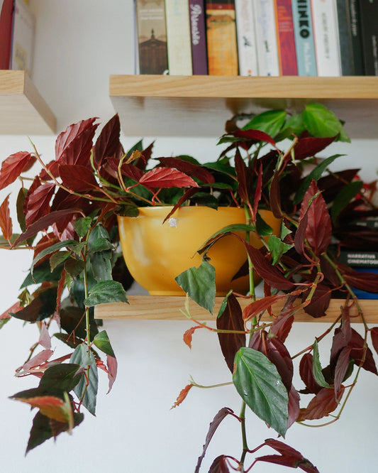 Cachepô alumínio cuia liso 25