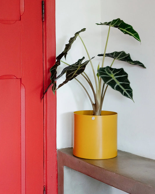 Cachepô alumínio reto 18