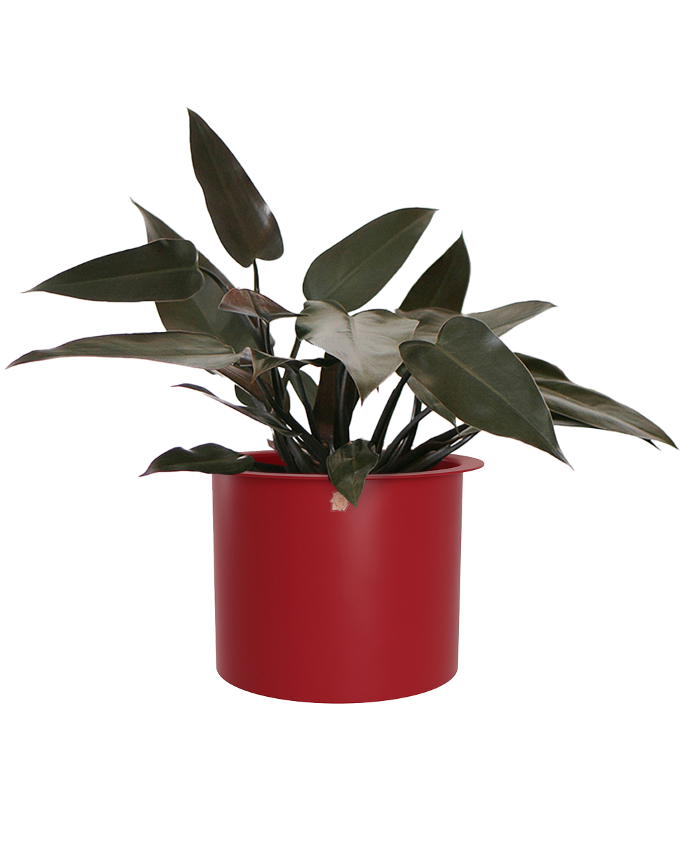 Cachepô alumínio com aba 21