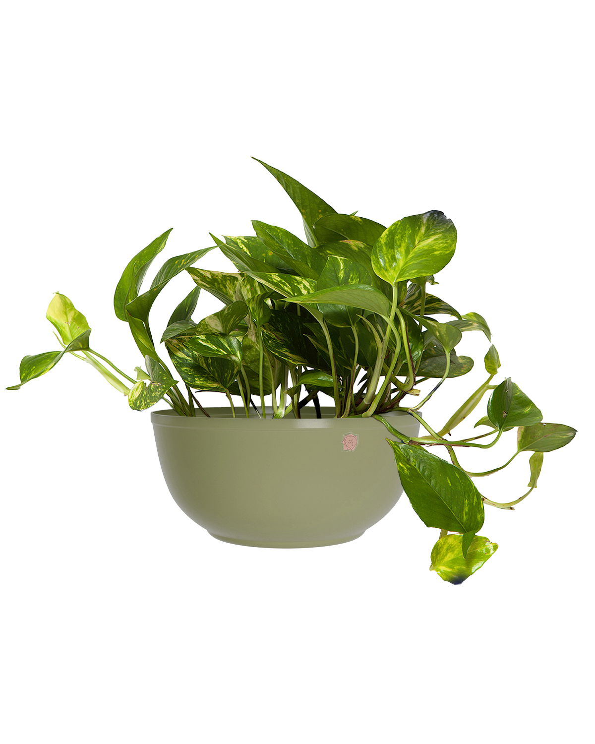 Cachepô alumínio cuia liso 25