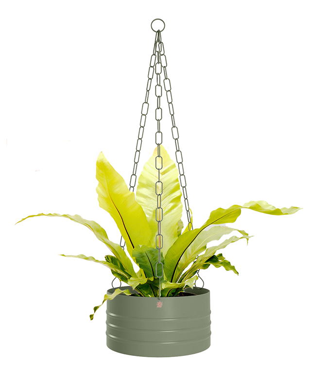 Cachepô pendurável cuia friso 25