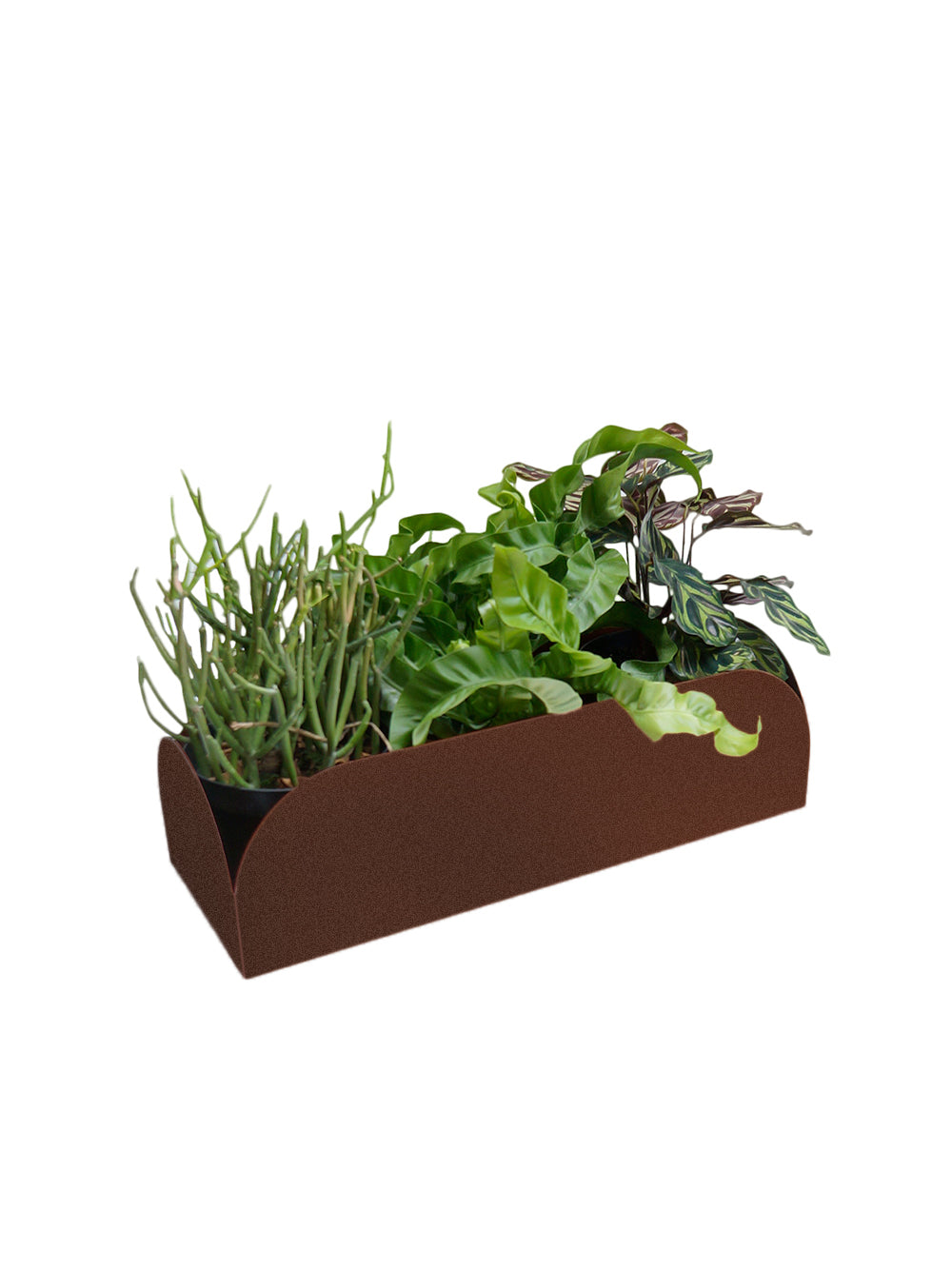 Jardineira pendurável Curió 15