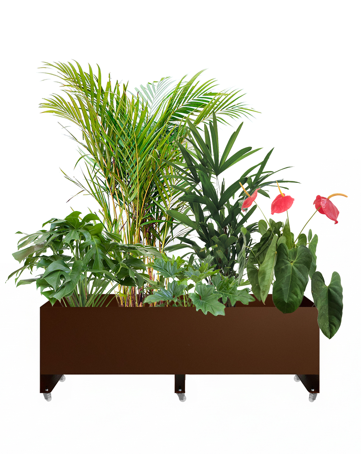 Jardineira Curió 33x120 - Sob encomenda