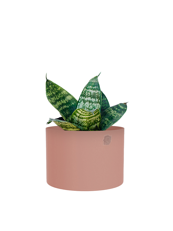 Cachepô alumínio reto 12