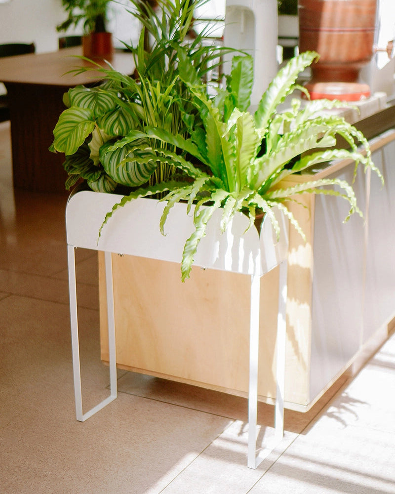 Jardineira Curió 18 de piso - Sob encomenda