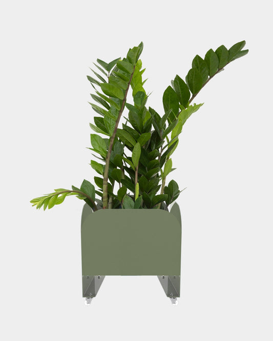 Jardineira Curió 25x25 - Sob encomenda