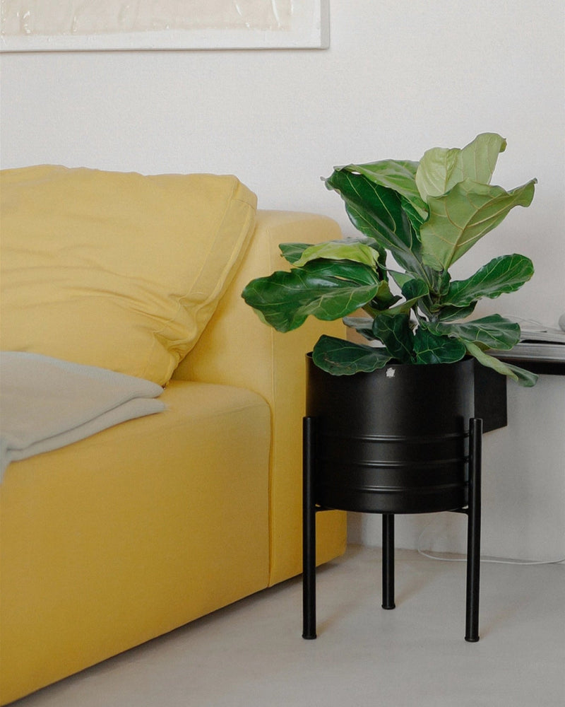 Conjunto - Suporte Rouxinol 25 baixo + Cachepô friso 25