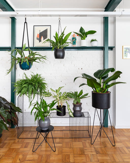 Suporte para plantas Andorinha 30