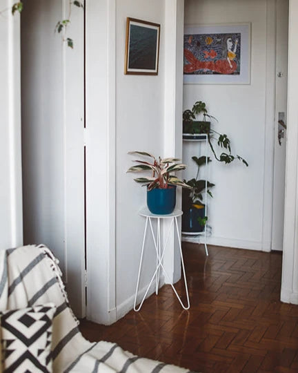 Suporte para plantas Andorinha 60