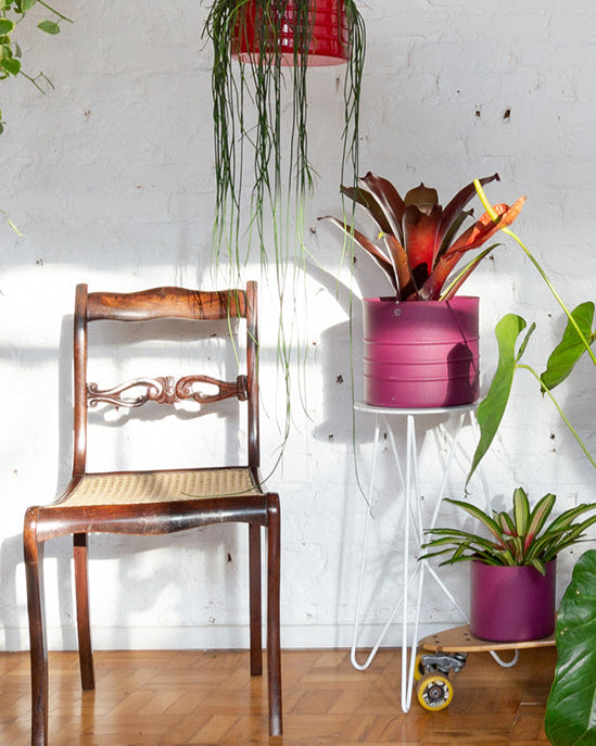 Suporte para plantas Andorinha 60