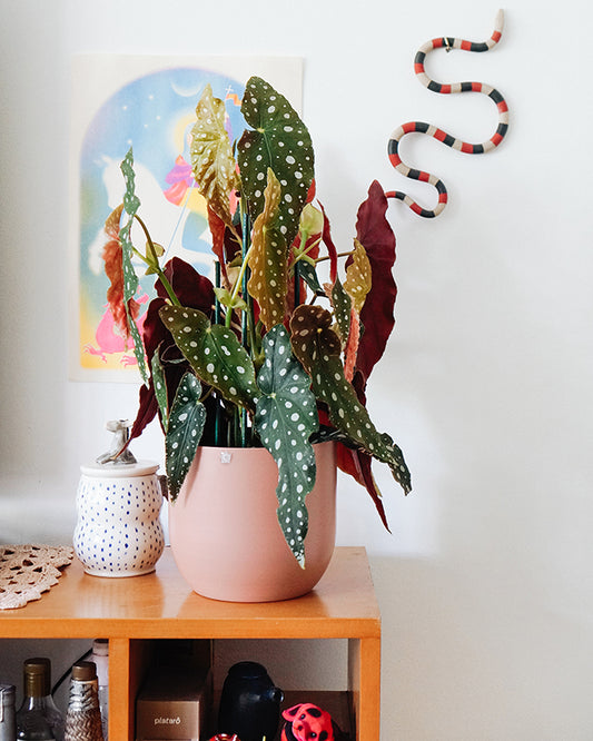 Cachepô alumínio arredondado 18