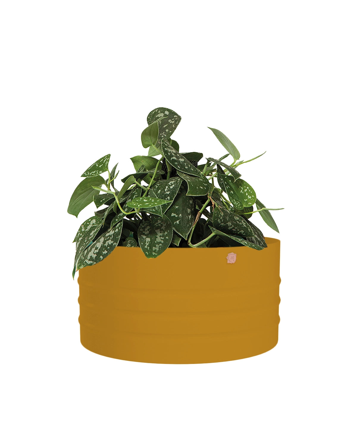 Cachepô alumínio cuia friso 25