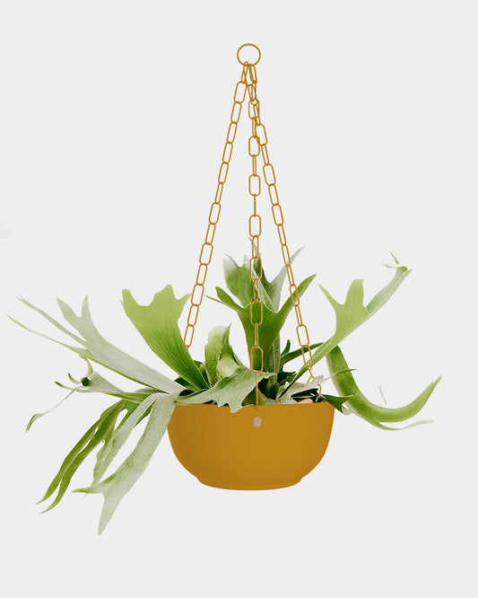 Cachepô pendurável cuia liso 25