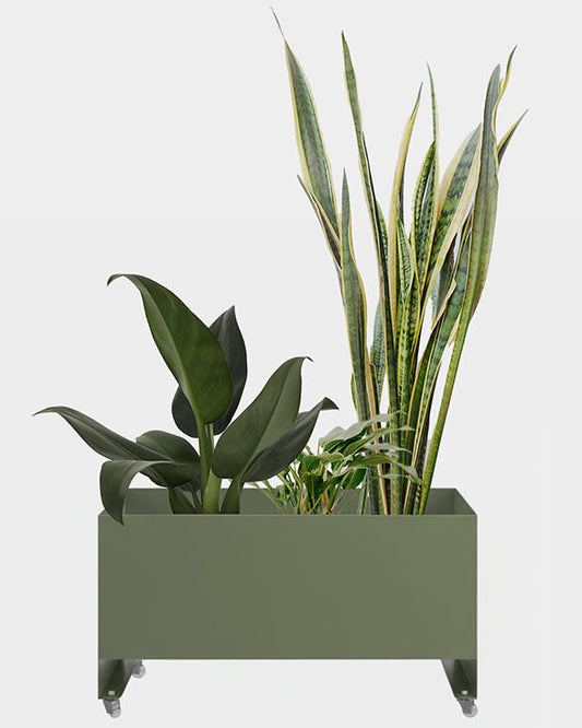 Jardineira Curió 33x76 - Sob encomenda