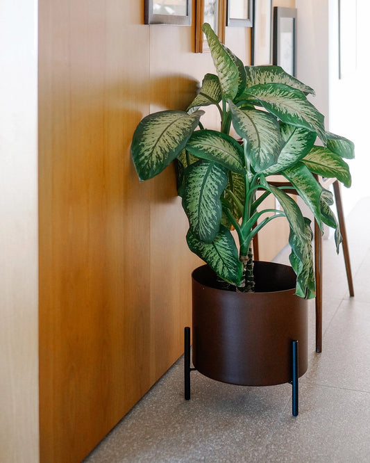 Conjunto - Suporte Rouxinol 38 + Cachepô reto 38