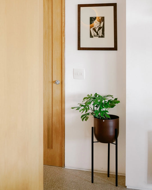 Conjunto - Suporte Rouxinol 25 alto + Cachepô arredondado 25