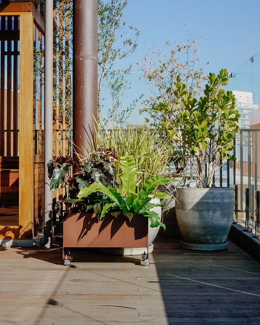 Jardineira Curió 25x60 - Sob encomenda