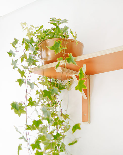 Hera C25 - amarela média