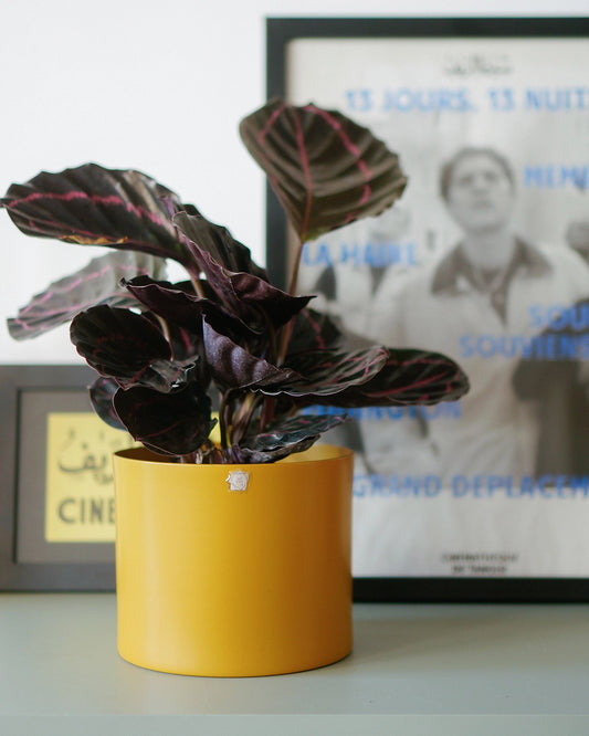 Cachepô alumínio reto 15