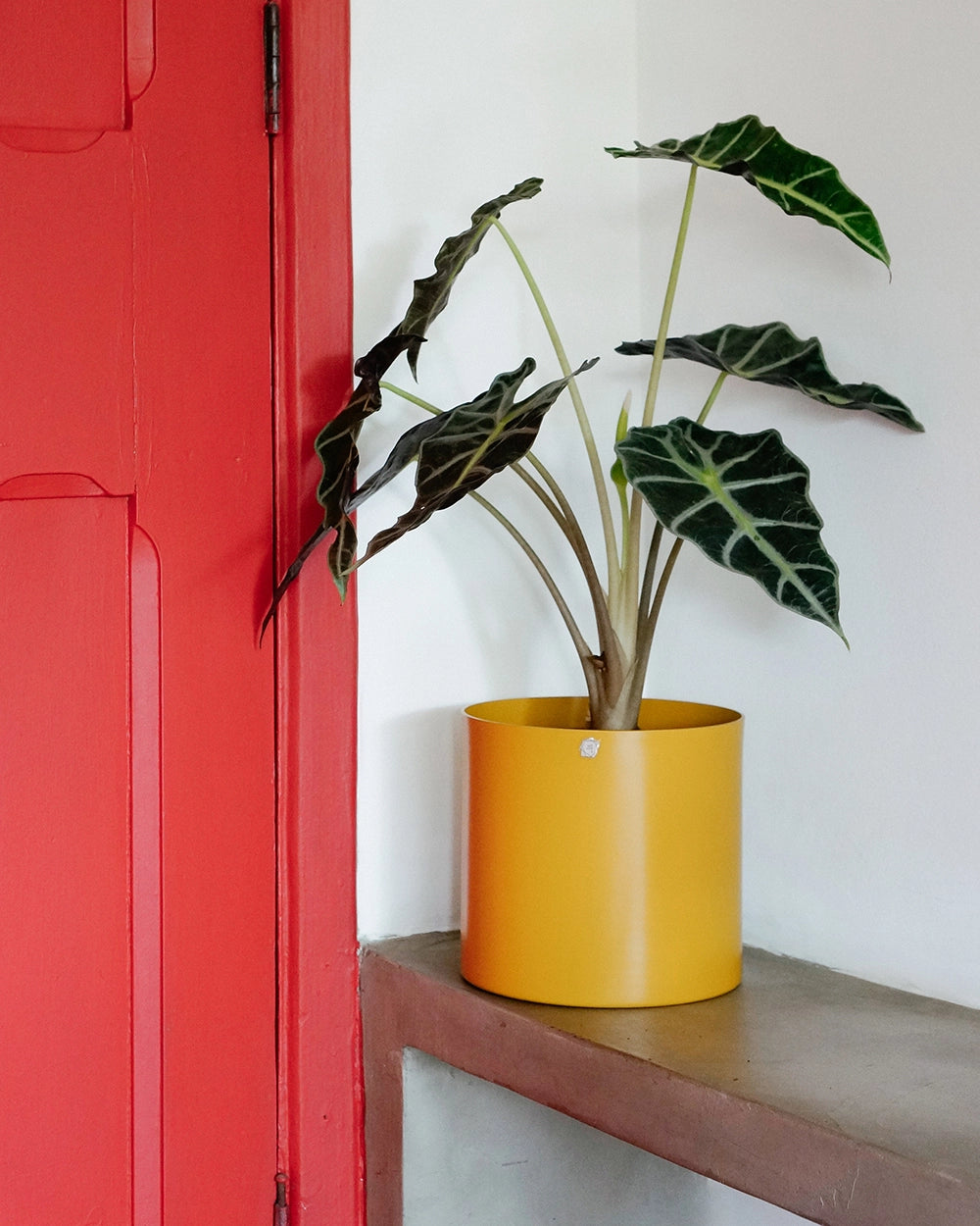 Cachepô alumínio reto 18