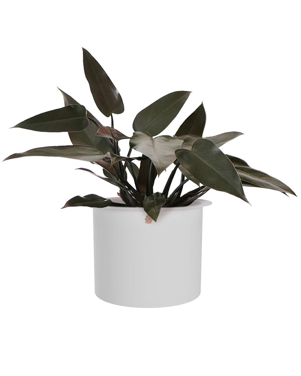 Cachepô alumínio com aba 21