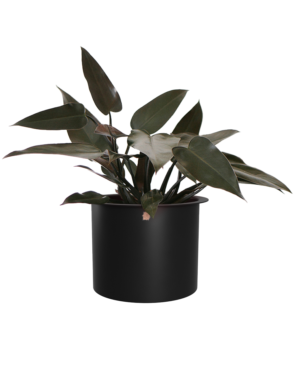 Cachepô alumínio com aba 21