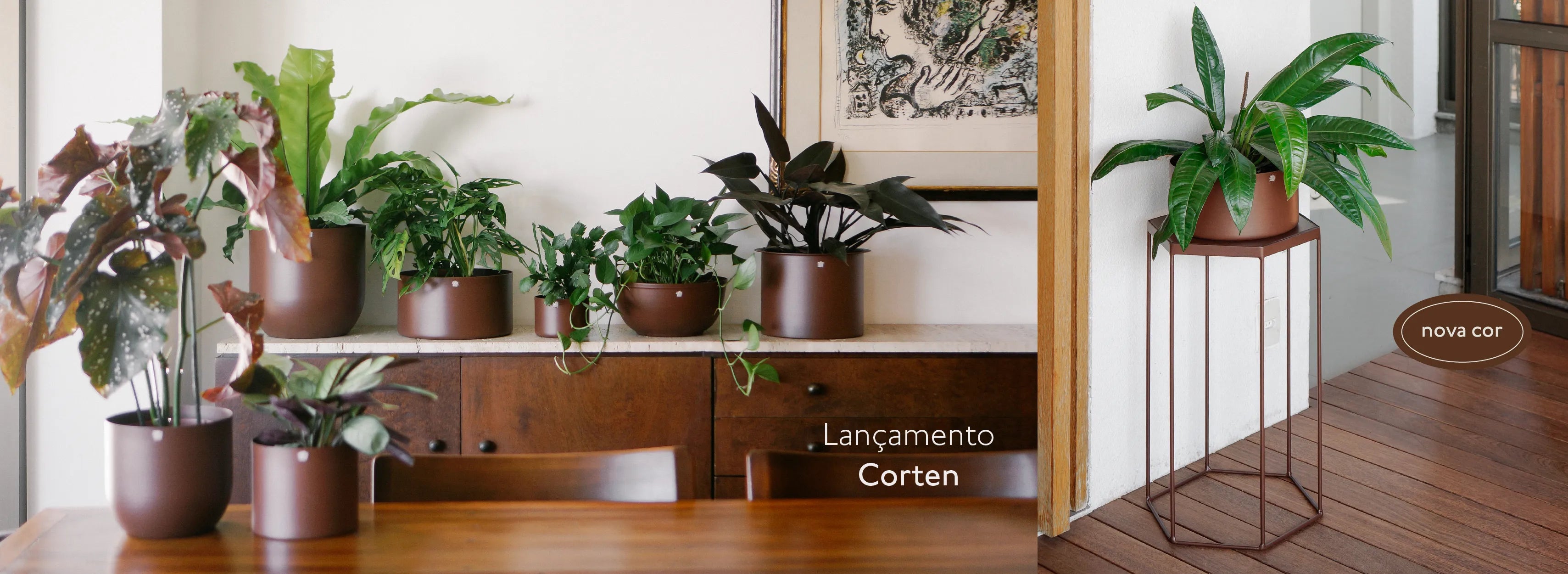 Banner Desktop #1