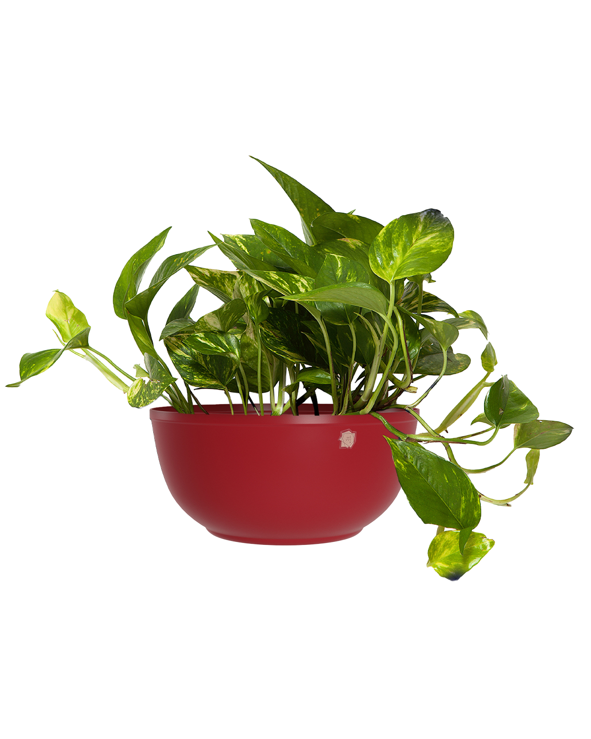 Cachepô alumínio cuia liso 25