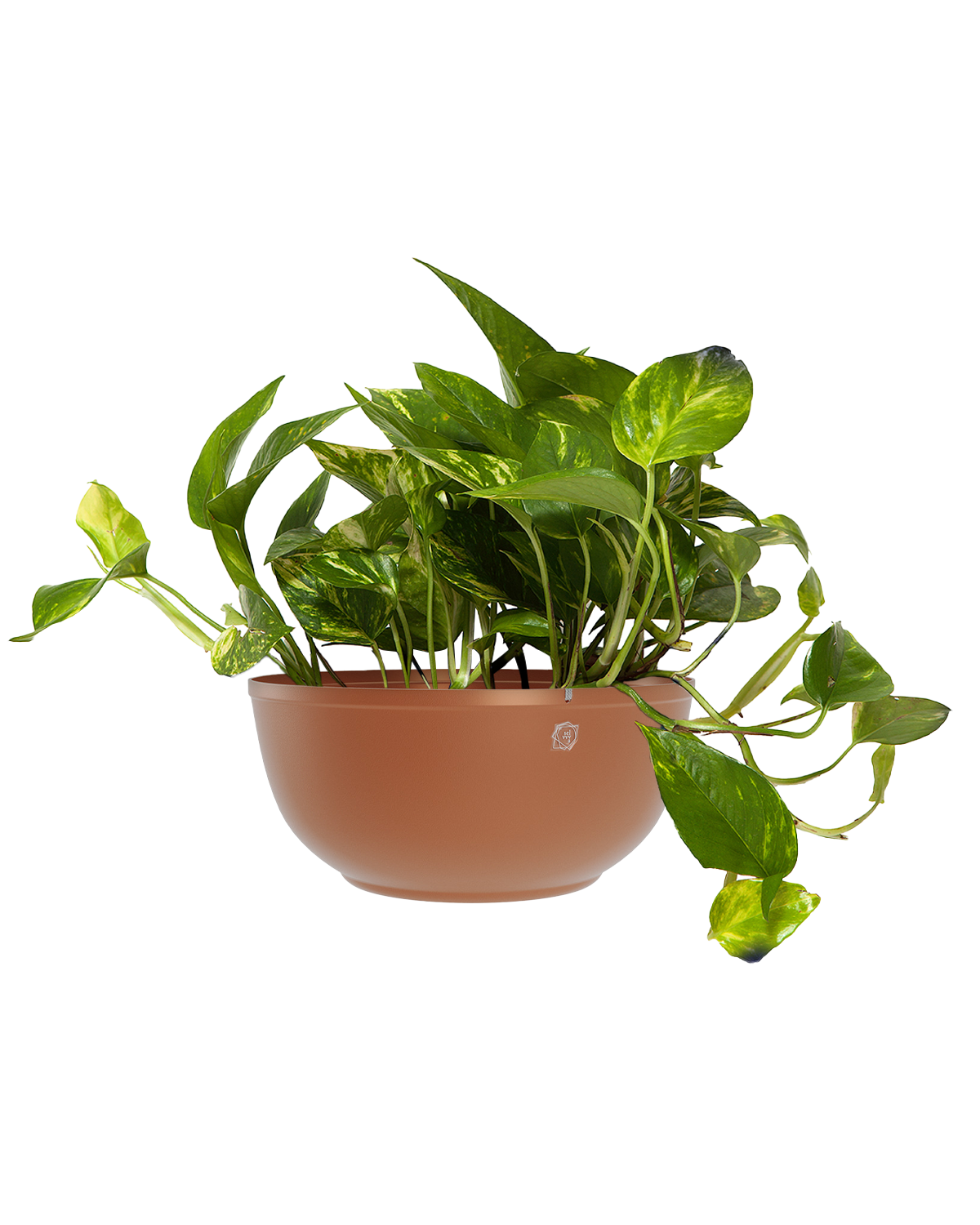 Cachepô alumínio cuia liso 25