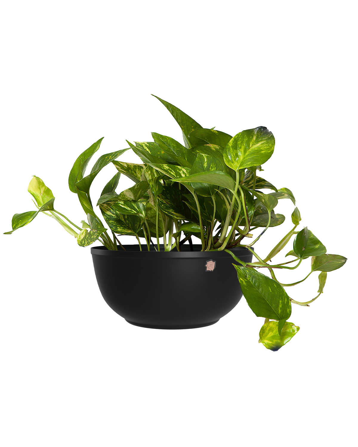 Cachepô alumínio cuia liso 25