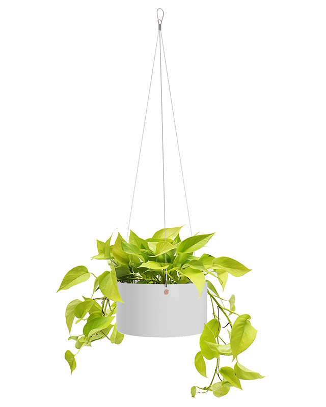 Cachepô pendurável cuia reto 25