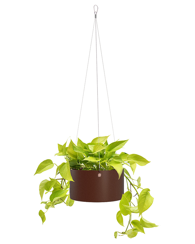 Cachepô pendurável cuia reto 25