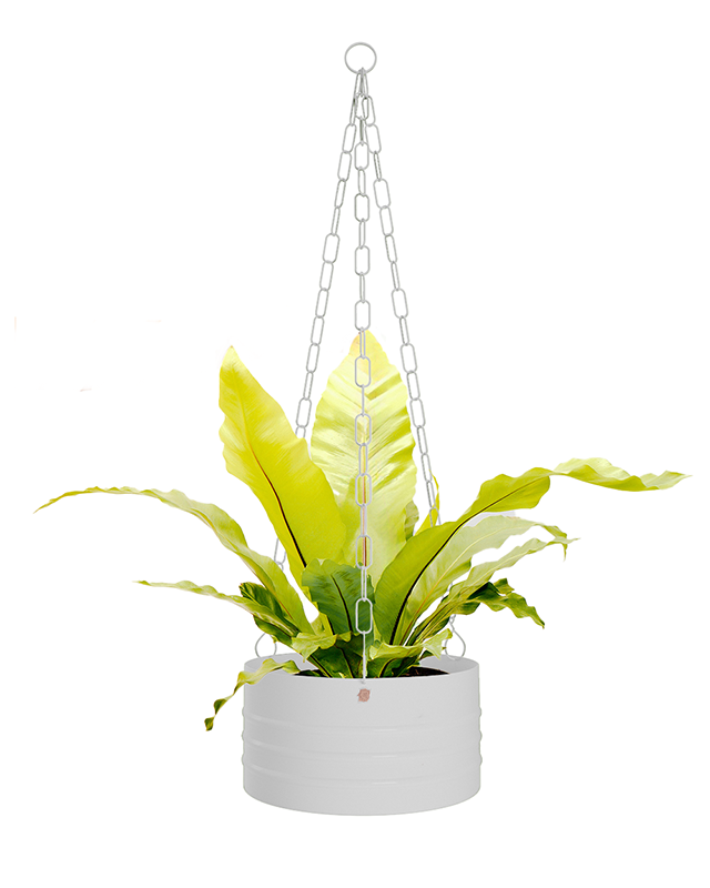 Cachepô pendurável cuia friso 25