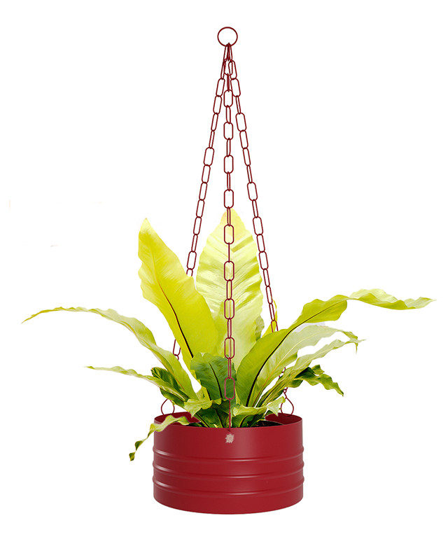 Cachepô pendurável cuia friso 25