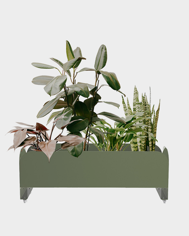 Jardineira Curió 25x95 - Sob encomenda