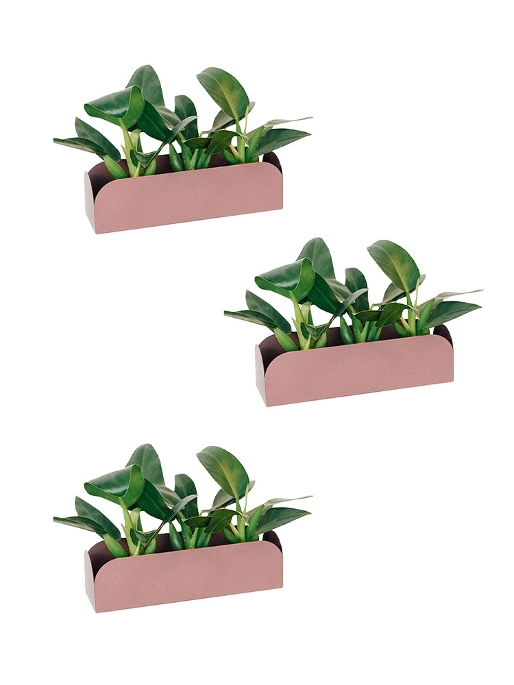 Conjunto de Jardineiras Pendurável Curió 18 (3 unid) - Sob Encomenda