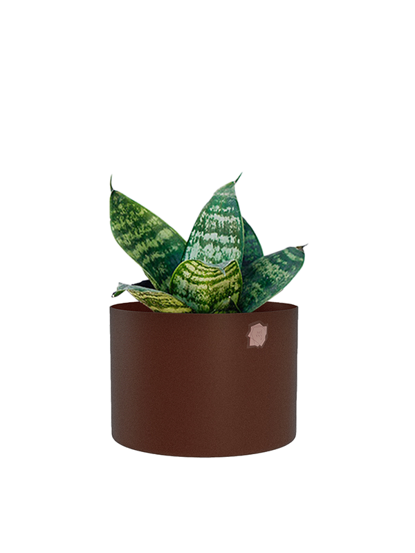 Cachepô alumínio reto 12