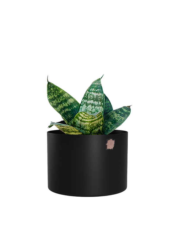 Cachepô alumínio reto 12