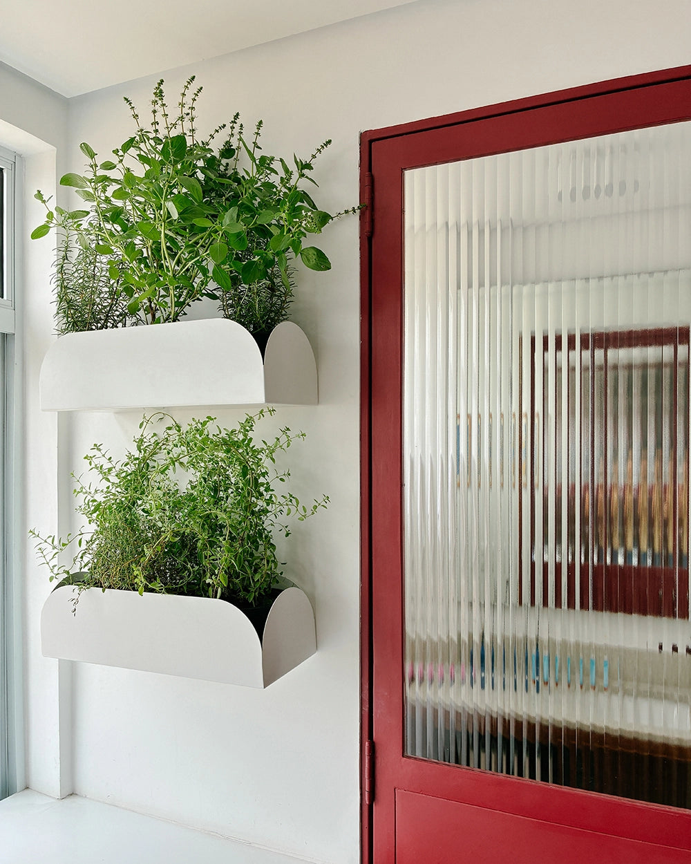 Jardineira pendurável Curió 15