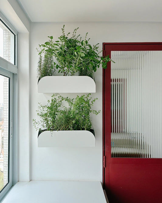 Jardineira pendurável Curió 15