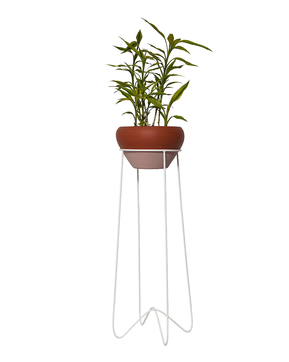 Suporte para plantas Bem-te-vi 65