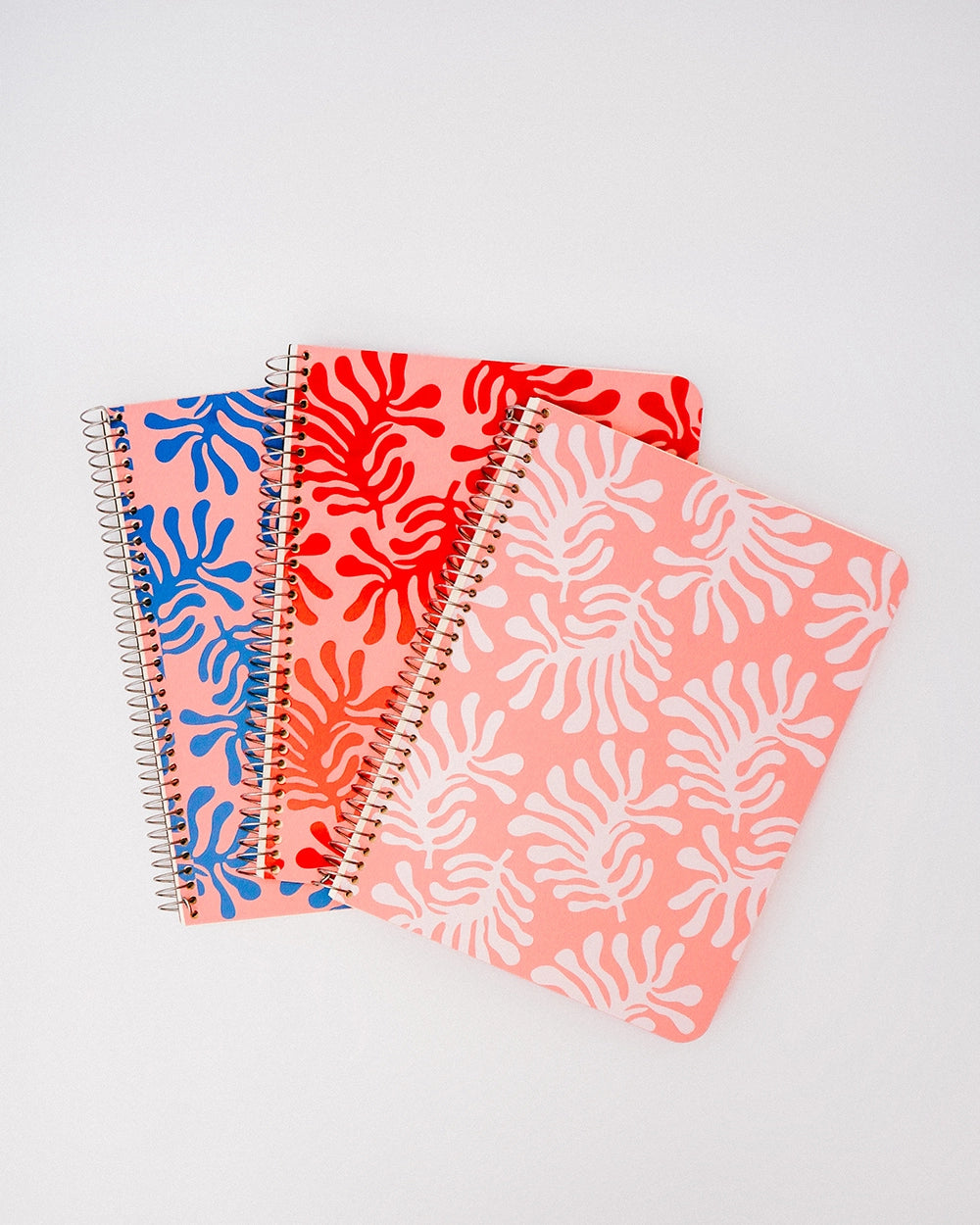 Kit Prateleira de Livro 50 + Caderno G
