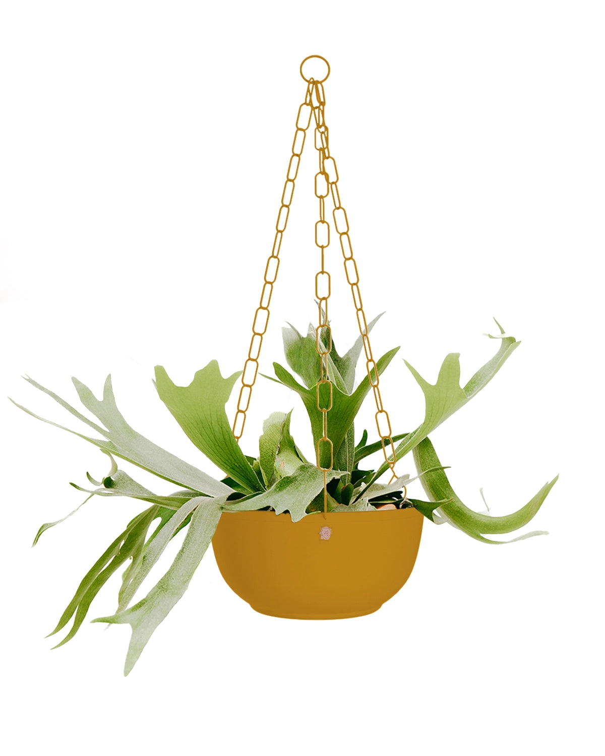 Cachepô pendurável cuia liso 25