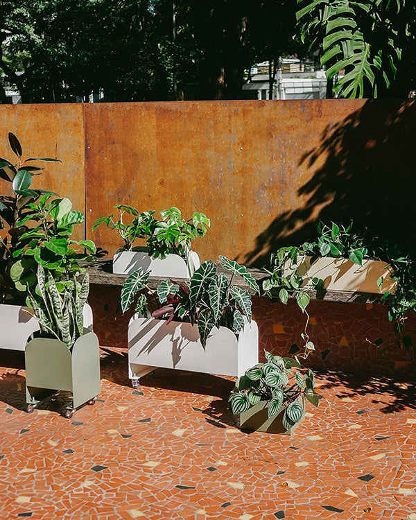 Jardineira pendurável Curió 18 - Pronta entrega