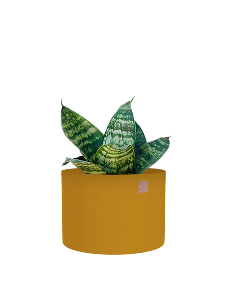 Cachepô alumínio reto 12