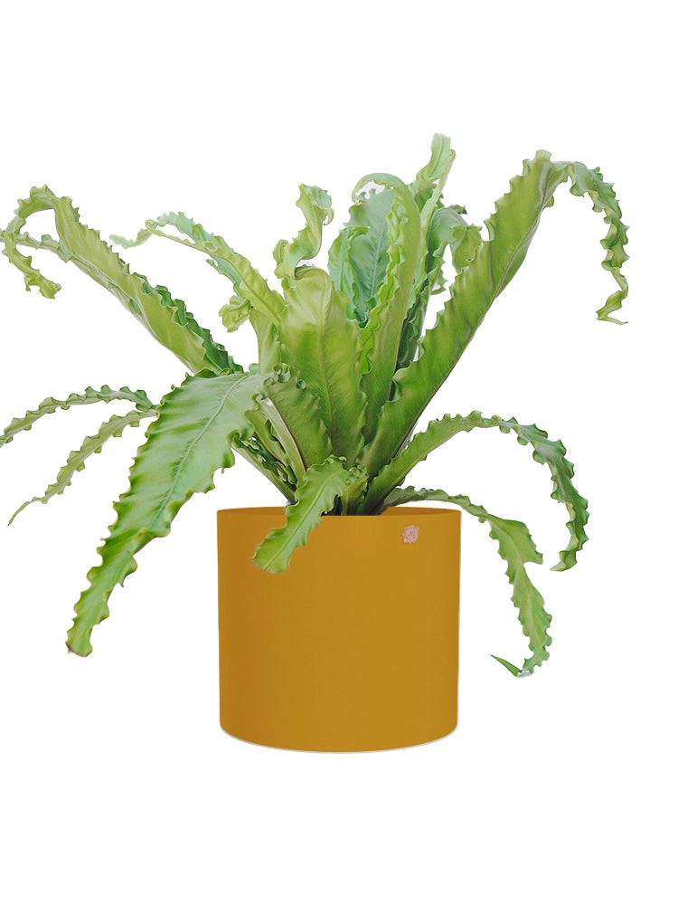 Cachepô alumínio reto 18