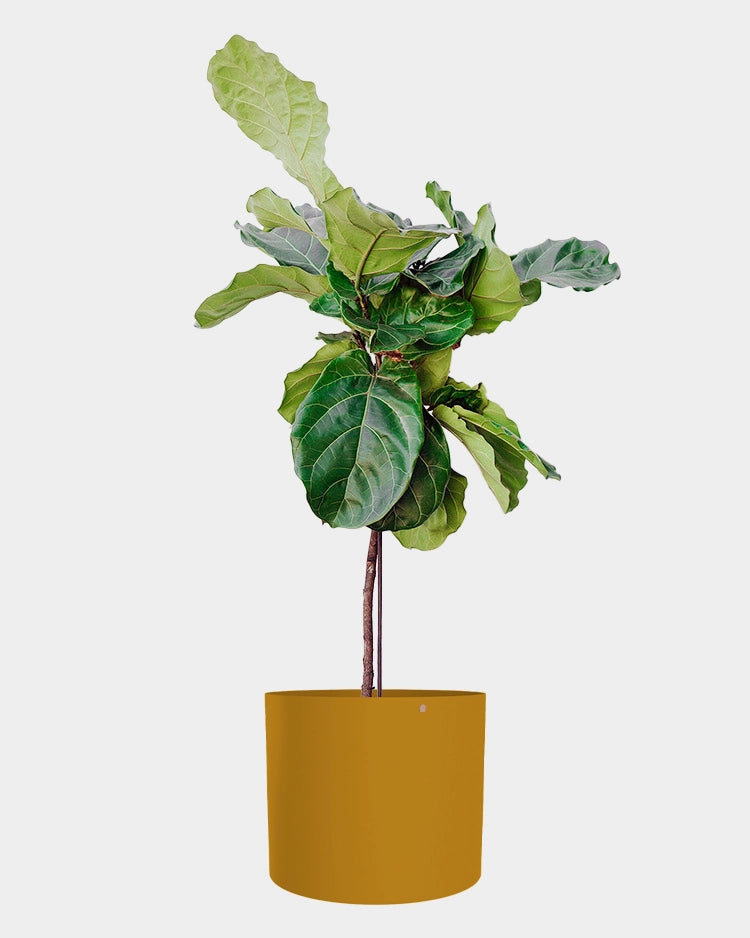 Cachepô alumínio reto 38 - Cores sob encomenda