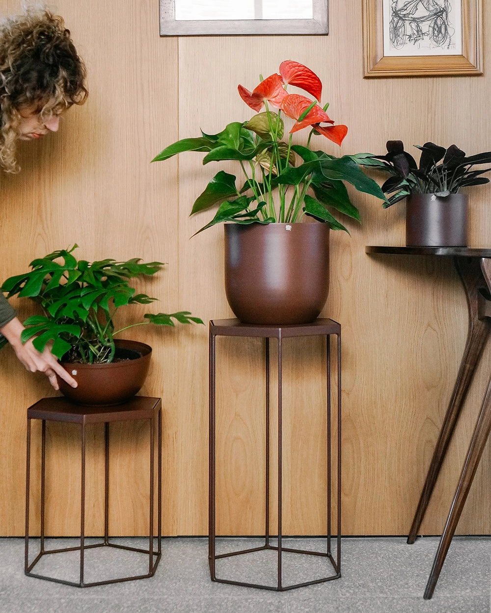 Suporte para plantas Garça 40 - Tampo metal