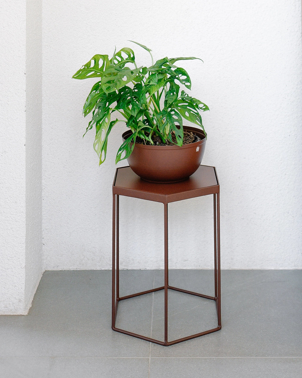 Suporte para plantas Garça 40 - Tampo metal